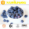 promotional gifts health benefits fresh blueberry blueberry powder for sale